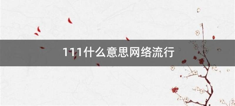 111什么意思网络流行