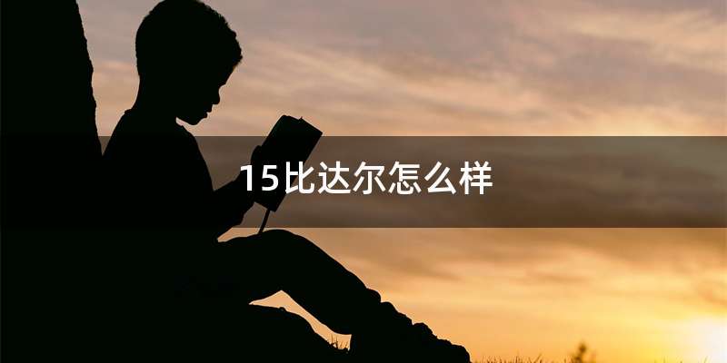 15比达尔怎么样