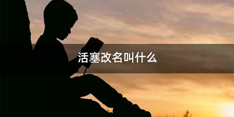 活塞改名叫什么