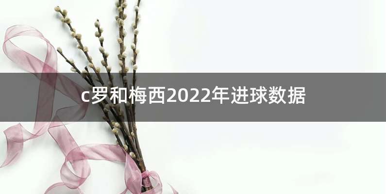 c罗和梅西2022年进球数据