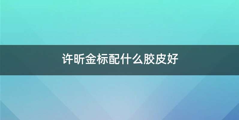 许昕金标配什么胶皮好