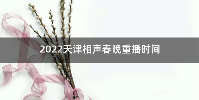 2022天津相声春晚重播时间