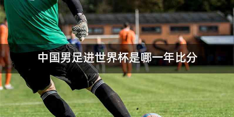中国男足进世界杯是哪一年比分