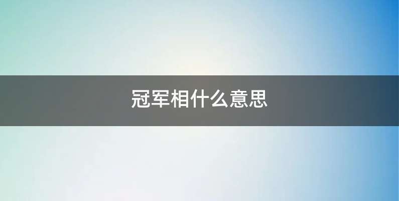 冠军相什么意思