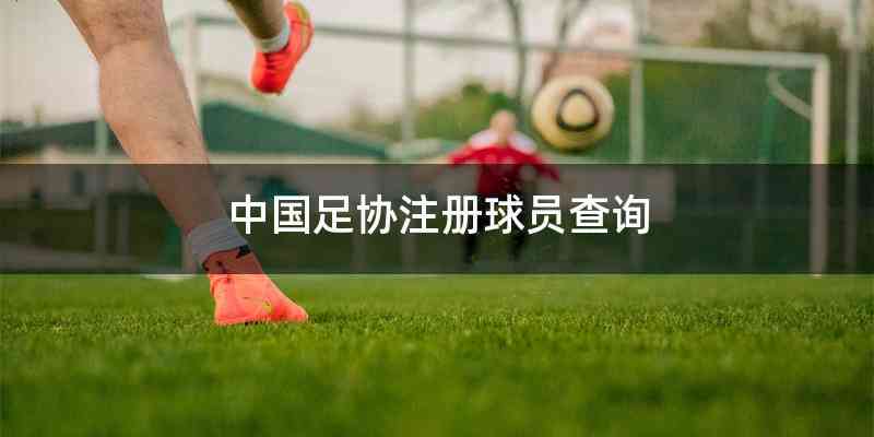 中国足协注册球员查询