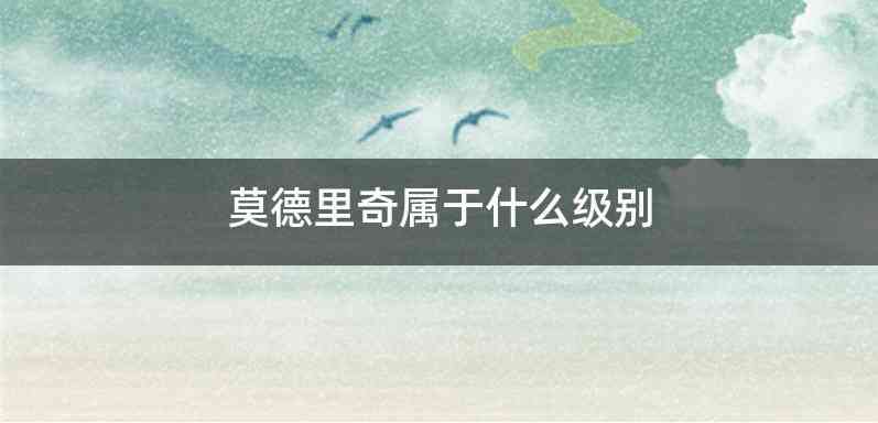 莫德里奇属于什么级别