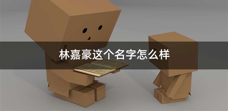 林嘉豪这个名字怎么样