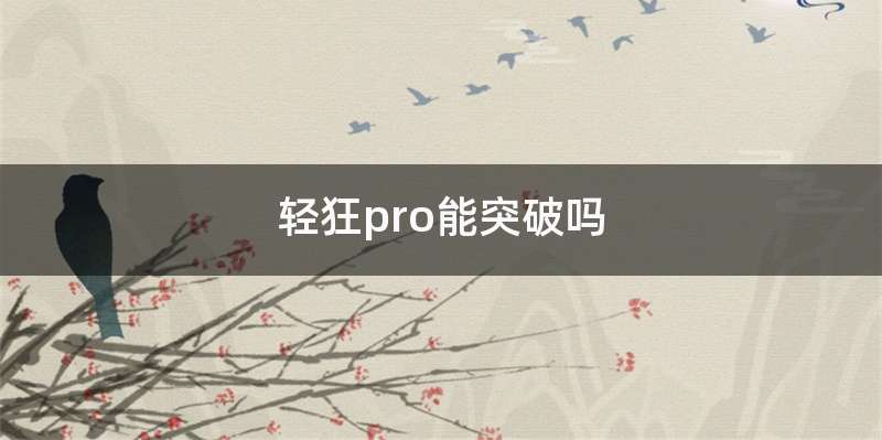 轻狂pro能突破吗