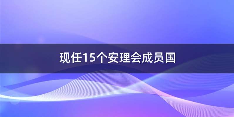 现任15个安理会成员国