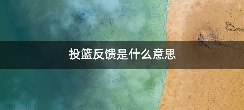 投篮反馈是什么意思