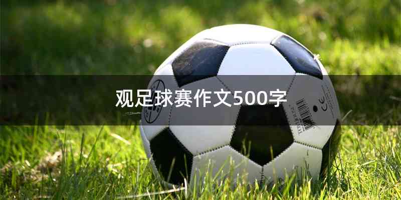 观足球赛作文500字