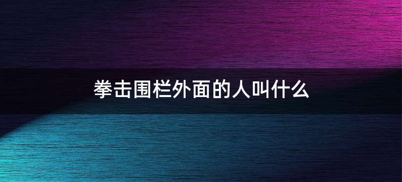 拳击围栏外面的人叫什么