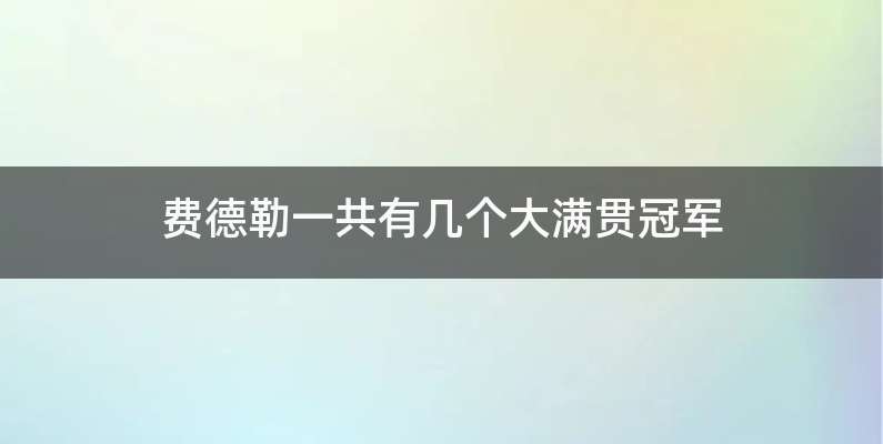 费德勒一共有几个大满贯冠军