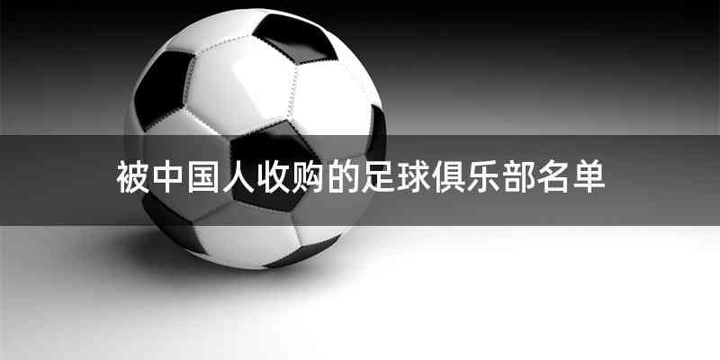 被中国人收购的足球俱乐部名单
