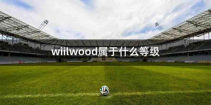 wiilwood属于什么等级