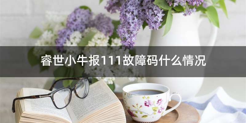 睿世小牛报111故障码什么情况