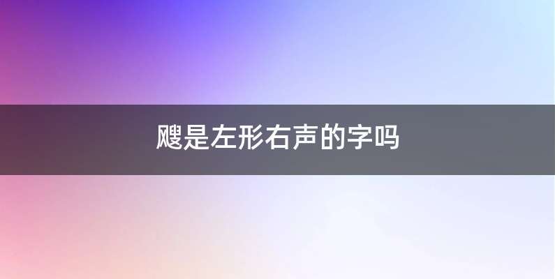 飕是左形右声的字吗