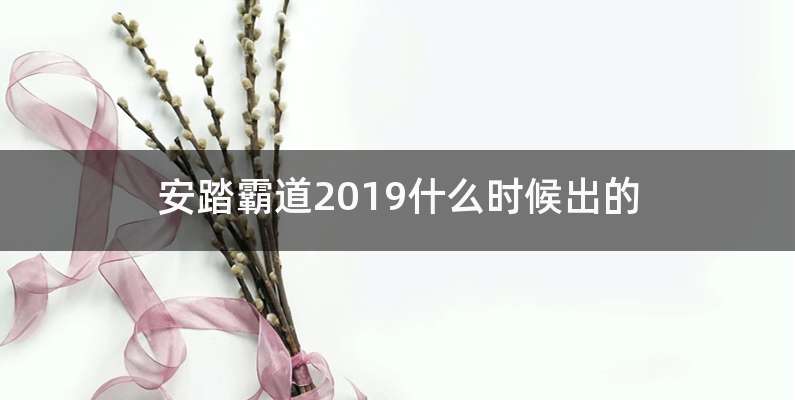 安踏霸道2019什么时候出的