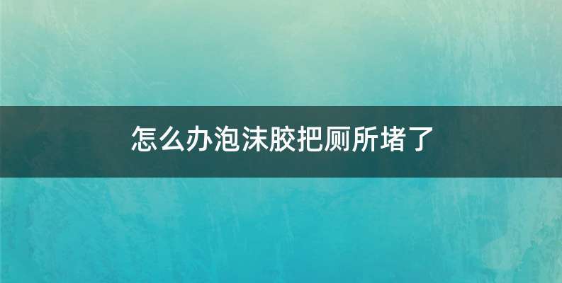 怎么办泡沫胶把厕所堵了