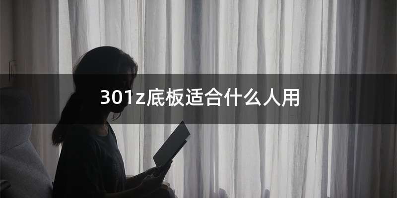 301z底板适合什么人用