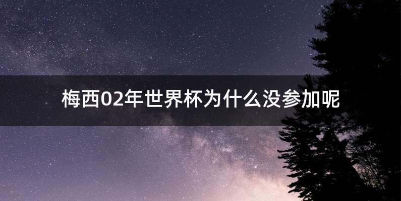 梅西02年世界杯为什么没参加呢