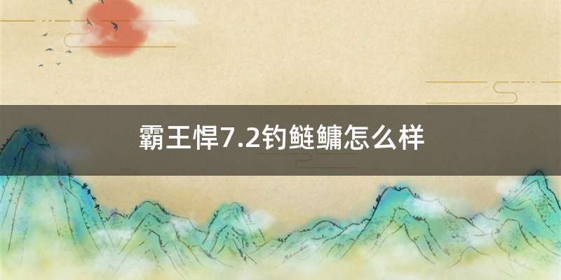 霸王悍7.2钓鲢鳙怎么样