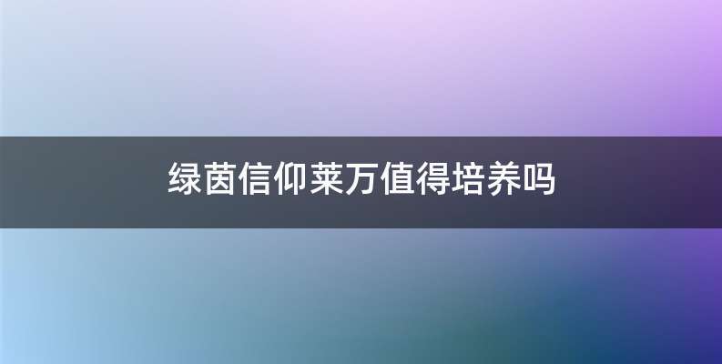 绿茵信仰莱万值得培养吗