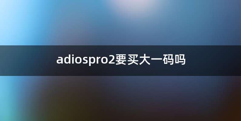 adiospro2要买大一码吗