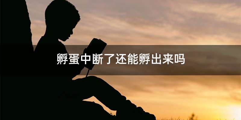 孵蛋中断了还能孵出来吗