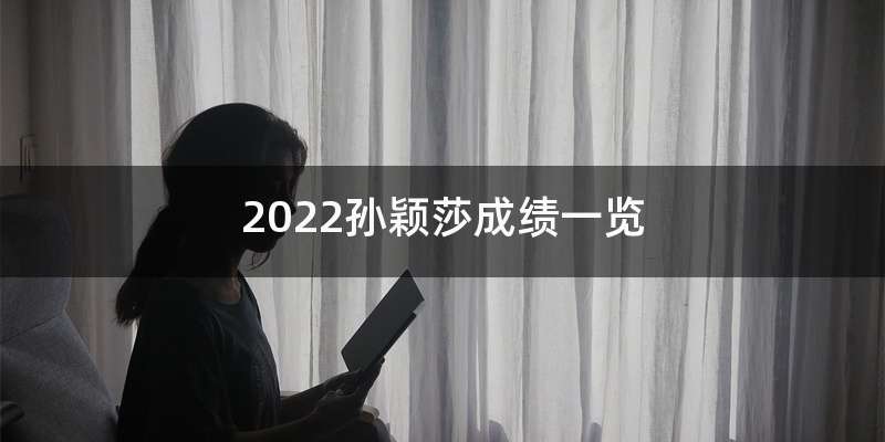 2022孙颖莎成绩一览