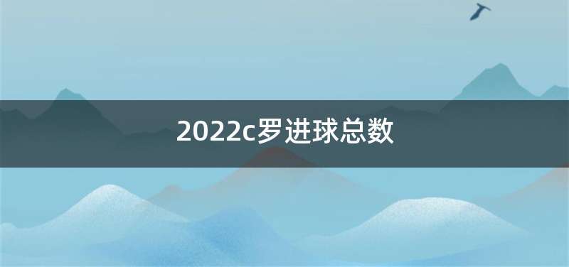 2022c罗进球总数