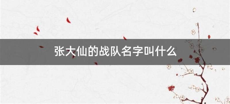 张大仙的战队名字叫什么