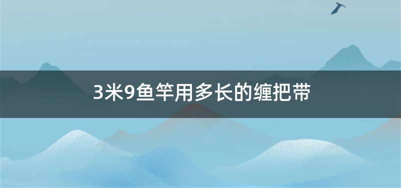 3米9鱼竿用多长的缠把带