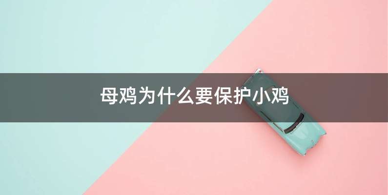 母鸡为什么要保护小鸡