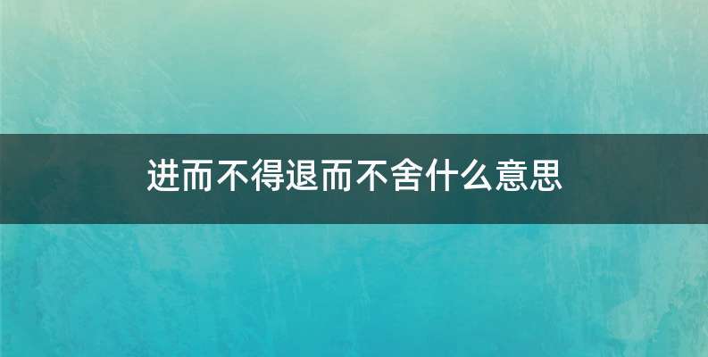 进而不得退而不舍什么意思