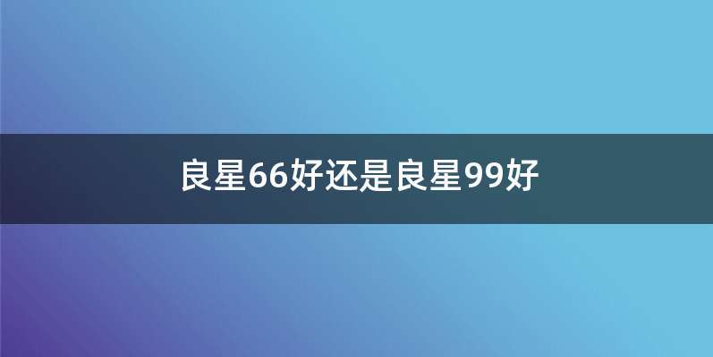 良星66好还是良星99好