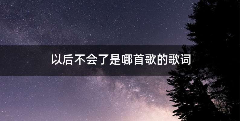 以后不会了是哪首歌的歌词