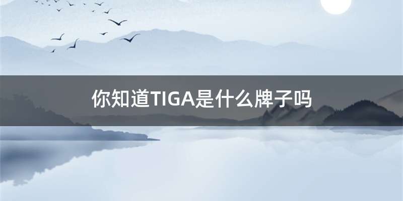 你知道TIGA是什么牌子吗