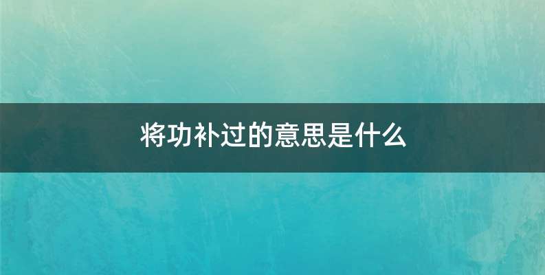 将功补过的意思是什么