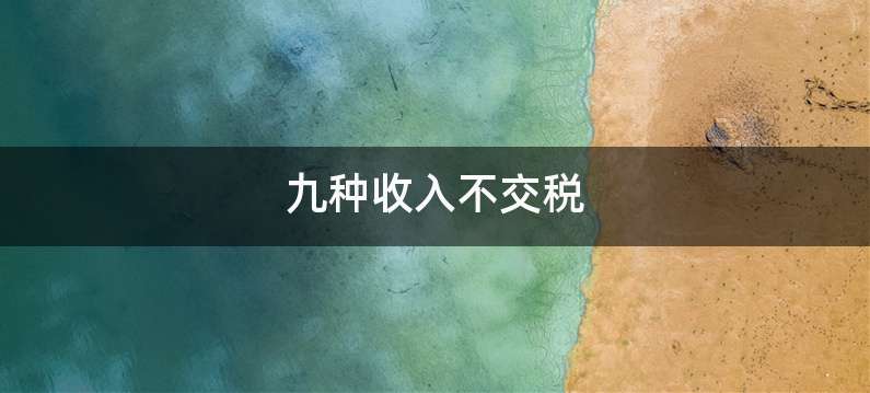 九种收入不交税