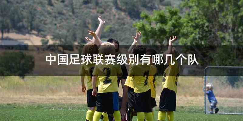 中国足球联赛级别有哪几个队