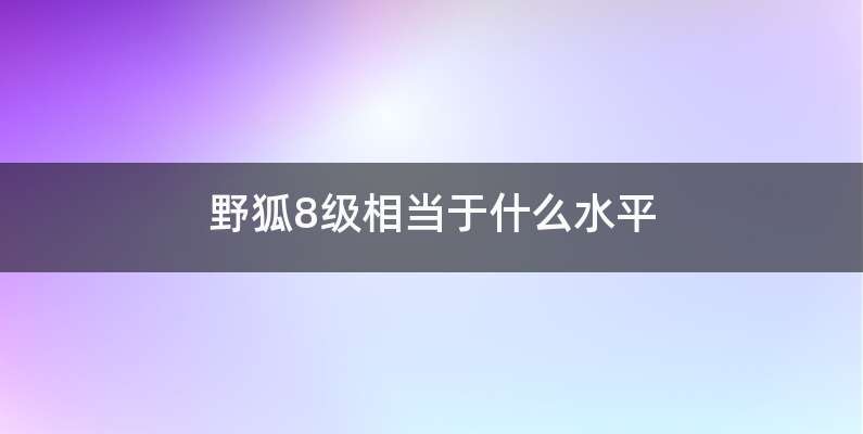 野狐8级相当于什么水平