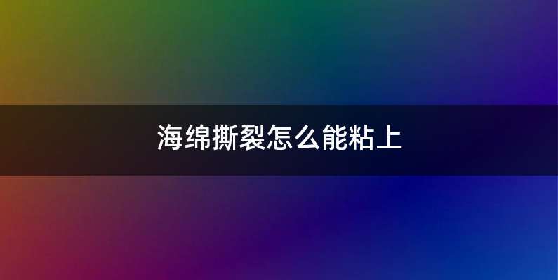 海绵撕裂怎么能粘上