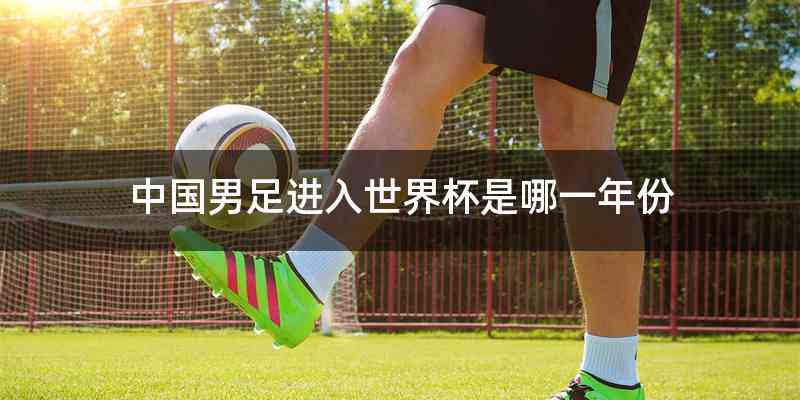 中国男足进入世界杯是哪一年份