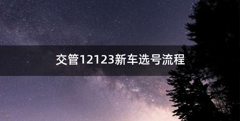 交管12123新车选号流程