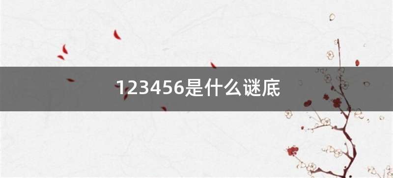 123456是什么谜底