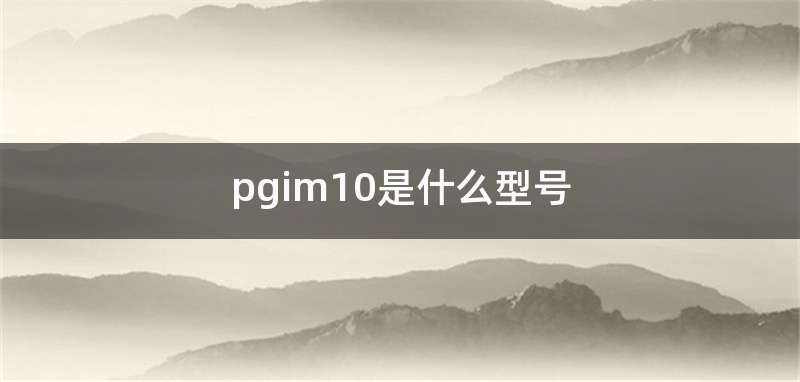 pgim10是什么型号