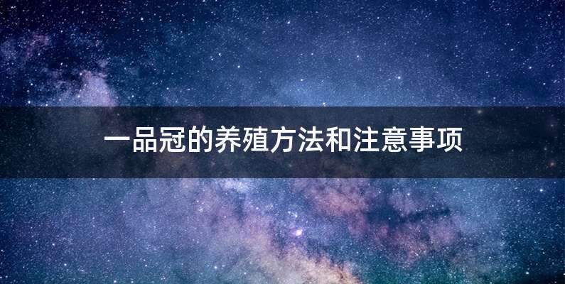 一品冠的养殖方法和注意事项