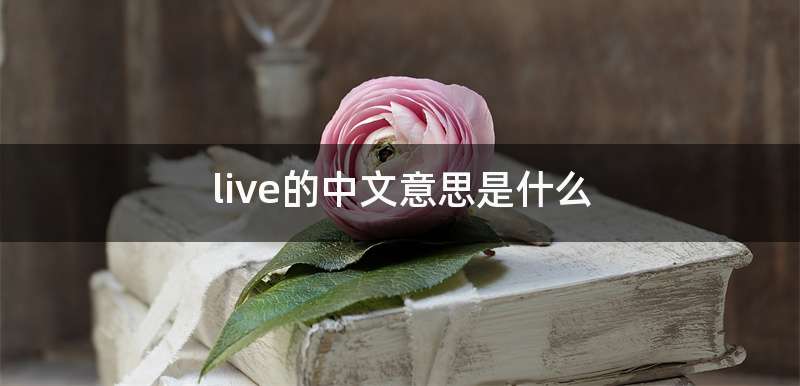 live的中文意思是什么