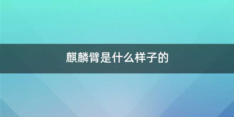 麒麟臂是什么样子的